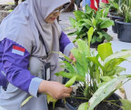 Gerakan Rabu Bersih GERASIH: Menggaungkan Semangat Ekoteolagi di MAN 1 Tanah Datar Plus Keterampilan