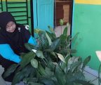 GertakPusFah MAN 1 Tanah Datar Bersatu Hati Menebar Cinta dan Makna Ibadah Qurban