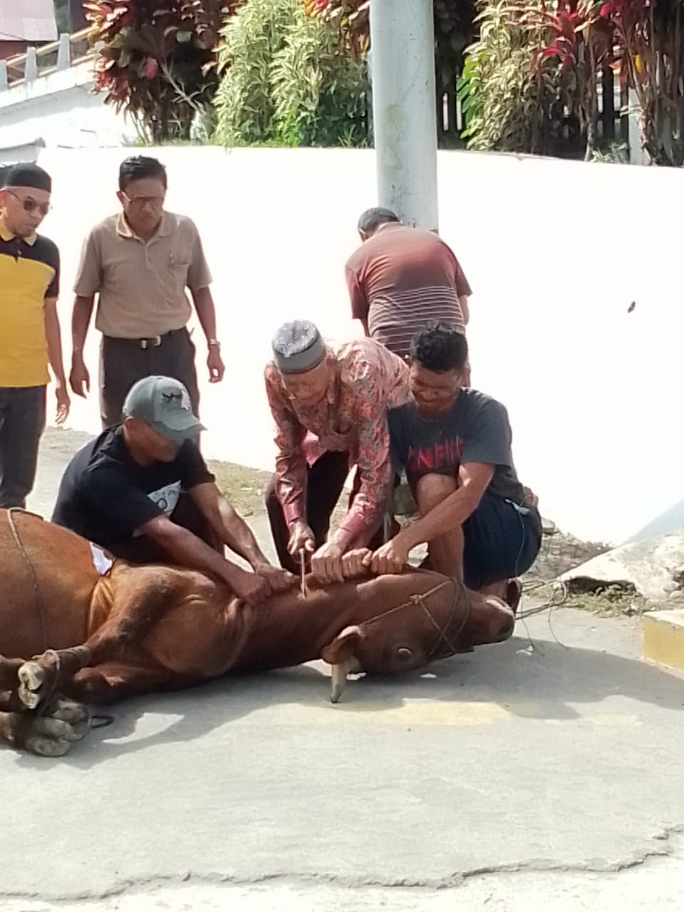 Keistimewaan Idul Adha: Cinta, Pengorbanan, dan Persaudaraan